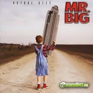 Mr. Big -  Actual Size