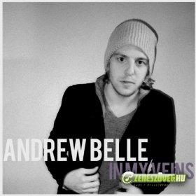 Andrew Belle -  In My Veins