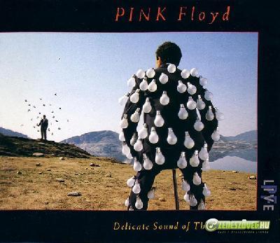 Pink Floyd -  Delicate Sound Of Thunder